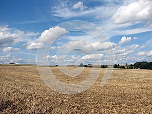 Rural landscape