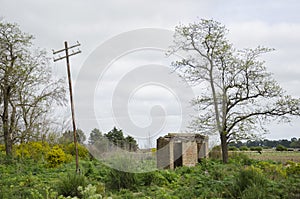 Rural landscape, abandoned hut and electric wiring pole amid wild vegetation, in EgaÃ±a, Rauch, Buenos Aires, Argentina