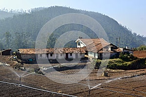 Rural landscape with agriculture fields, water sprinklers and buildings