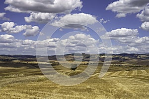 Rural landscape along the Cassia near Radicofani, Tuscany