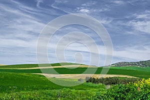 Rural landscape, andalusia nature in spring/summer.