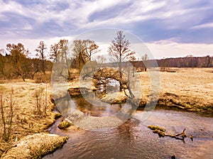 Rural landscape in april. Small River in early spring