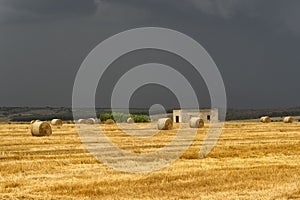 Rural landscape in Apulia at summer