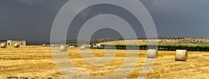 Rural landscape in Apulia at summer