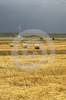 Rural landscape in Apulia at summer