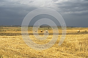 Rural landscape in Apulia at summer