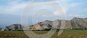 Rural landscape arable plow green field and mountains behind