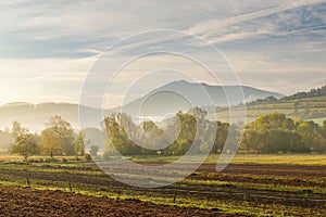 Rural landscape in an autumn foggy morning