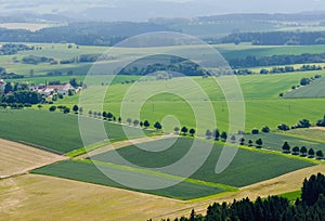 Rural landscape background with plant fields