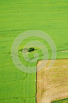 Rural landscape background with plant fields, above view