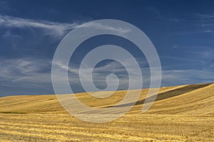 Rural landscape in Basilicata at summer