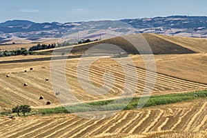 Rural landscape in Basilicata at summer