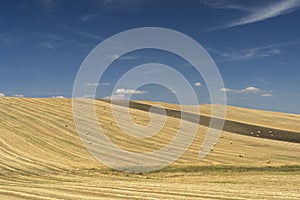 Rural landscape in Basilicata at summer