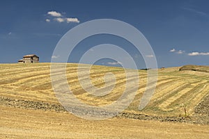 Rural landscape in Basilicata at summer