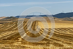 Rural landscape in Basilicata at summer