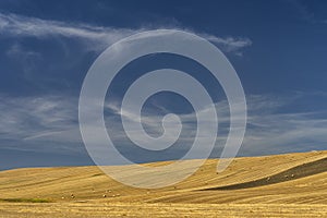 Rural landscape in Basilicata at summer