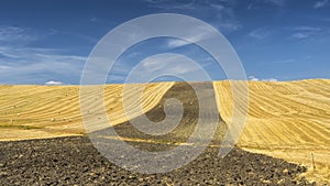 Rural landscape in Basilicata at summer