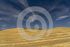 Rural landscape in Basilicata at summer