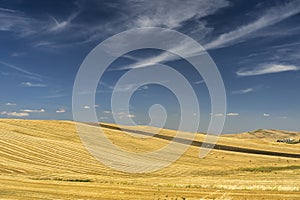 Rural landscape in Basilicata at summer