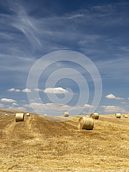 Rural landscape in Basilicata at summer