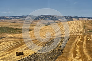 Rural landscape in Basilicata at summer