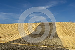 Rural landscape in Basilicata at summer