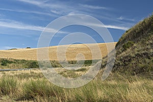 Rural landscape in Basilicata at summer