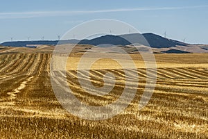 Rural landscape in Basilicata at summer