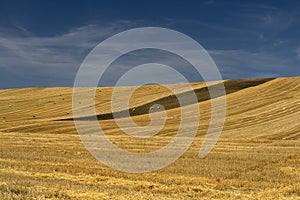 Rural landscape in Basilicata at summer