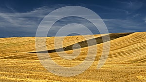 Rural landscape in Basilicata at summer