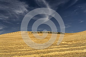 Rural landscape in Basilicata at summer