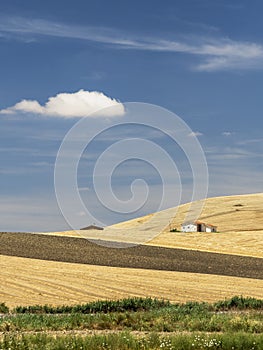 Rural landscape in Basilicata at summer