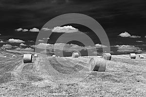 Rural landscape in Basilicata at summer