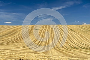 Rural landscape in Basilicata at summer