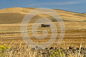 Rural landscape in Basilicata at summer