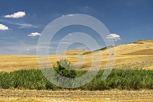 Rural landscape in Basilicata at summer