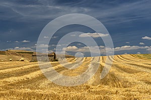 Rural landscape in Basilicata at summer