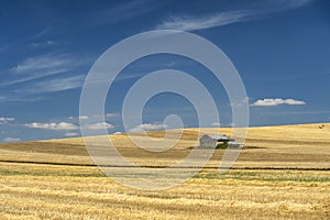 Rural landscape in Basilicata at summer