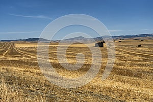 Rural landscape in Basilicata at summer