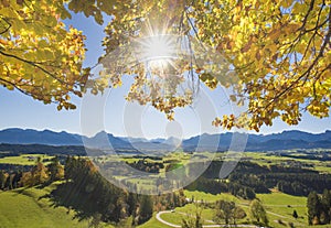 Rural landscape in Bavaria with alps mountains and sunbeams behind beech tree in autumn