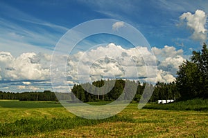 Rural landscape with beautiful field and blue sky with clouds