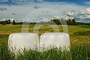 Rural landscape with beautiful fields and rolls of hay in white film