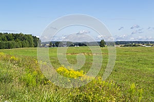 Rural landscape in Belarus on a sunny day. Green field in summer