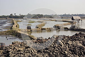 Rural landscape of bengal