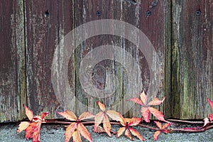 Rural landscape brick pillars near bright grass on the background of trees