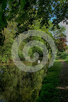 Rural Landscape, Brompton near Scarborough, North Yorkshire