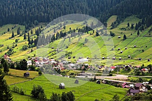Green Valley in Rural Area of Bucovina, Romania photo