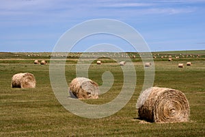 Rural landscape of Canada