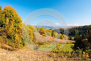 rural landscape of carpathian mountains in autumn