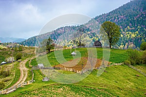 rural landscape of carpathian mountains